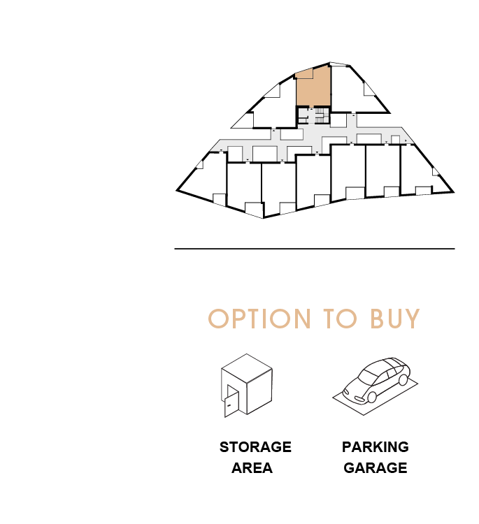 option to buy 1