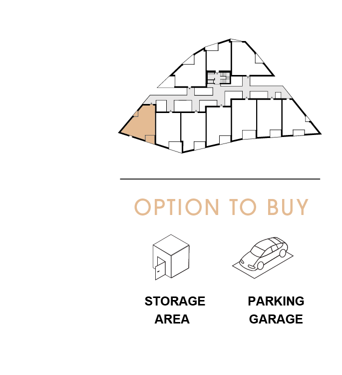 option to buy 1