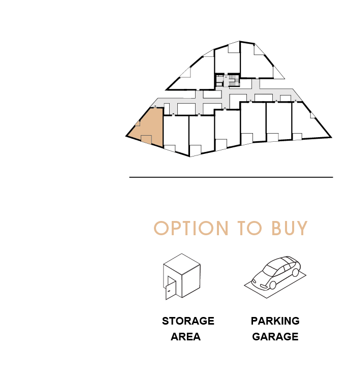 option to buy 201
