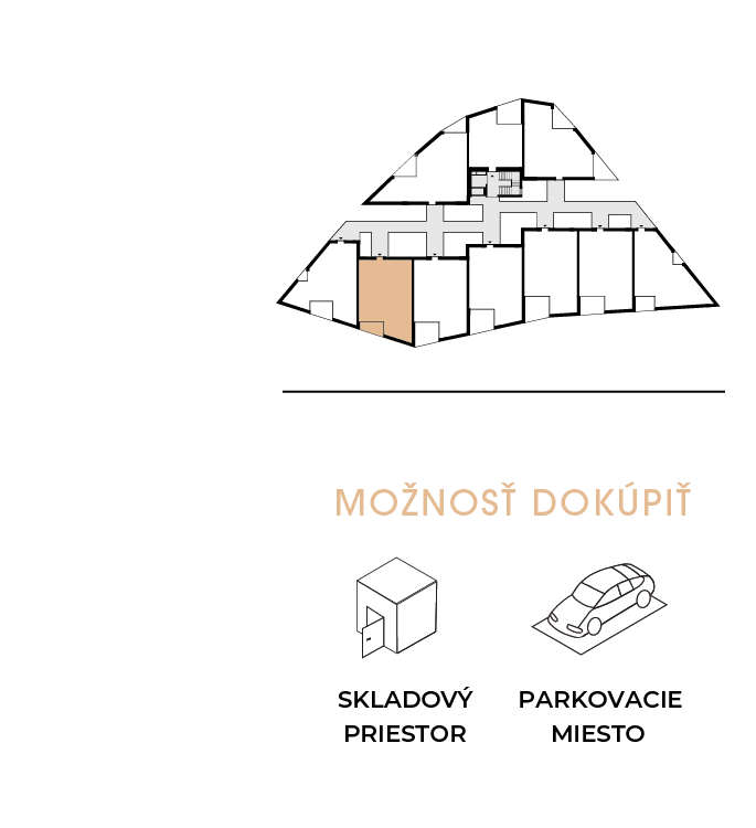 moznost dokupit 202