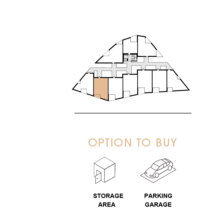 option to buy 202