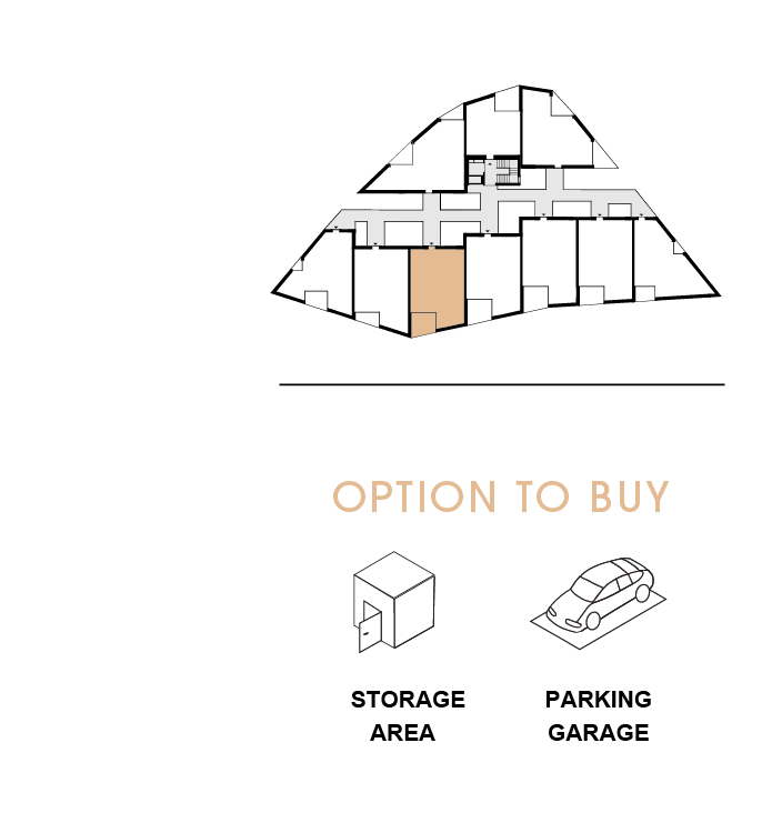 option to buy 203