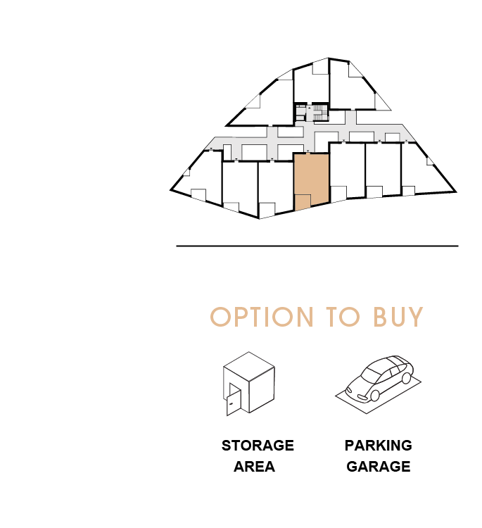 option to buy 204
