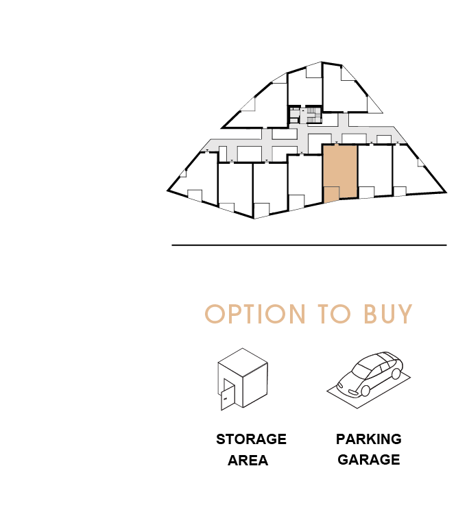 option to buy 205