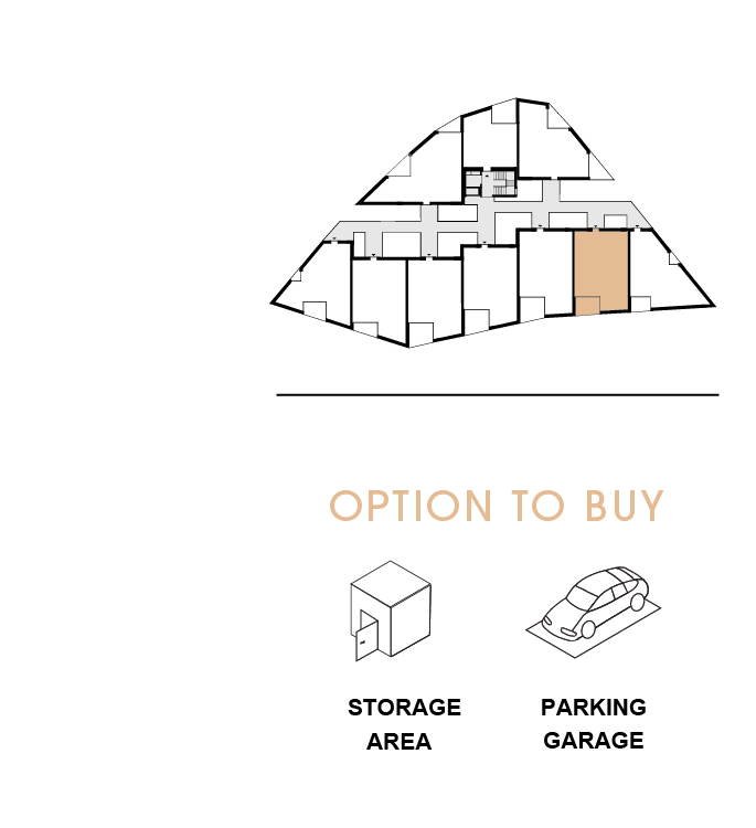 option to buy 206
