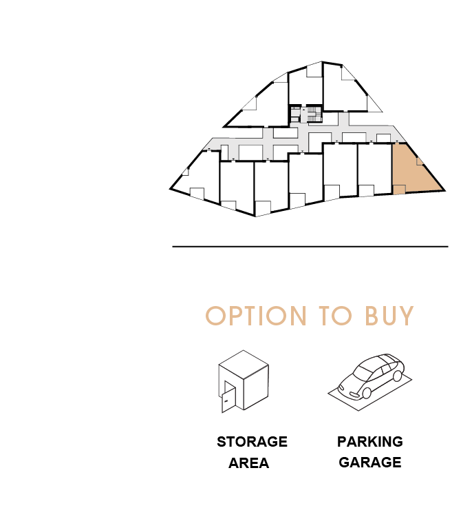 option to buy 207