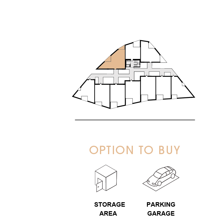option to buy 208