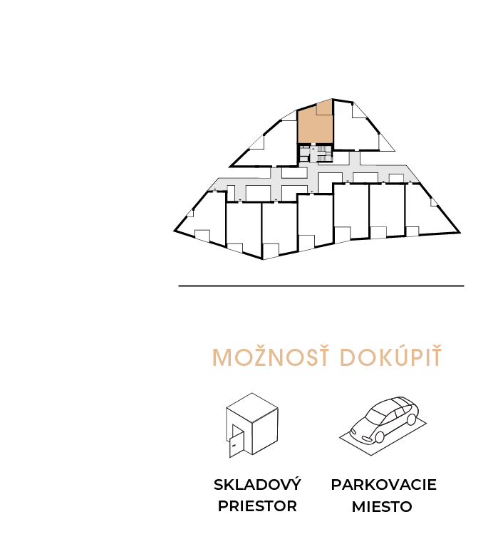 moznost dokupit 209
