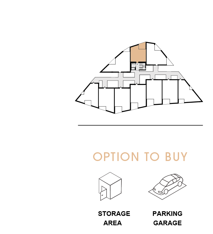 option to buy 209