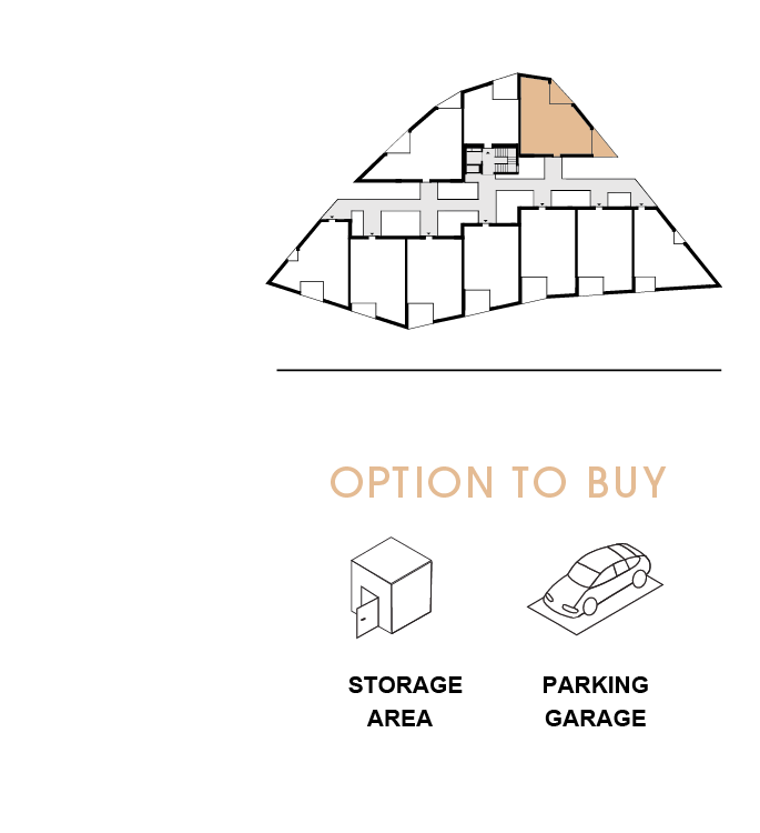 option to buy 210