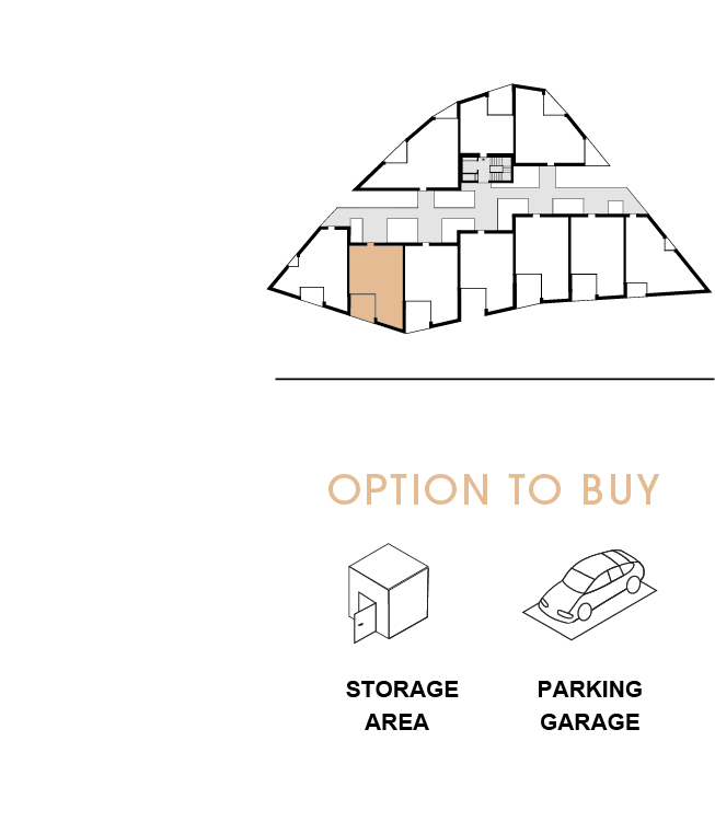 option to buy 402